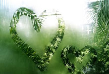 18岁全红婵最新目标：减肥！游戏防沉迷 夺超级大满贯+当大学生.