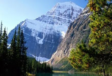 澳网-韦思佳0-2不敌保利尼 止步澳网女单首轮.