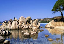 自由式滑雪世锦赛：徐梦桃斩获银牌.